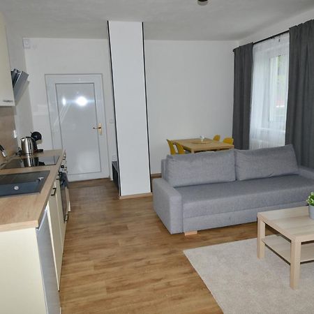 Apartmany U Peslu Zelezna Ruda Exterior photo