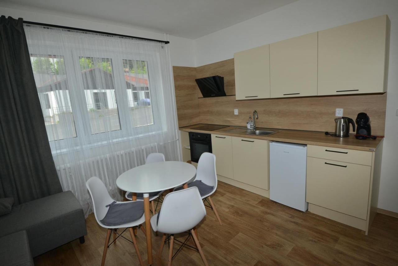 Apartmany U Peslu Zelezna Ruda Exterior photo