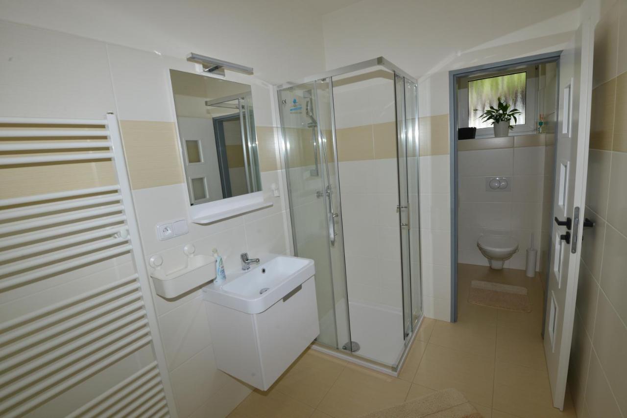 Apartmany U Peslu Zelezna Ruda Exterior photo