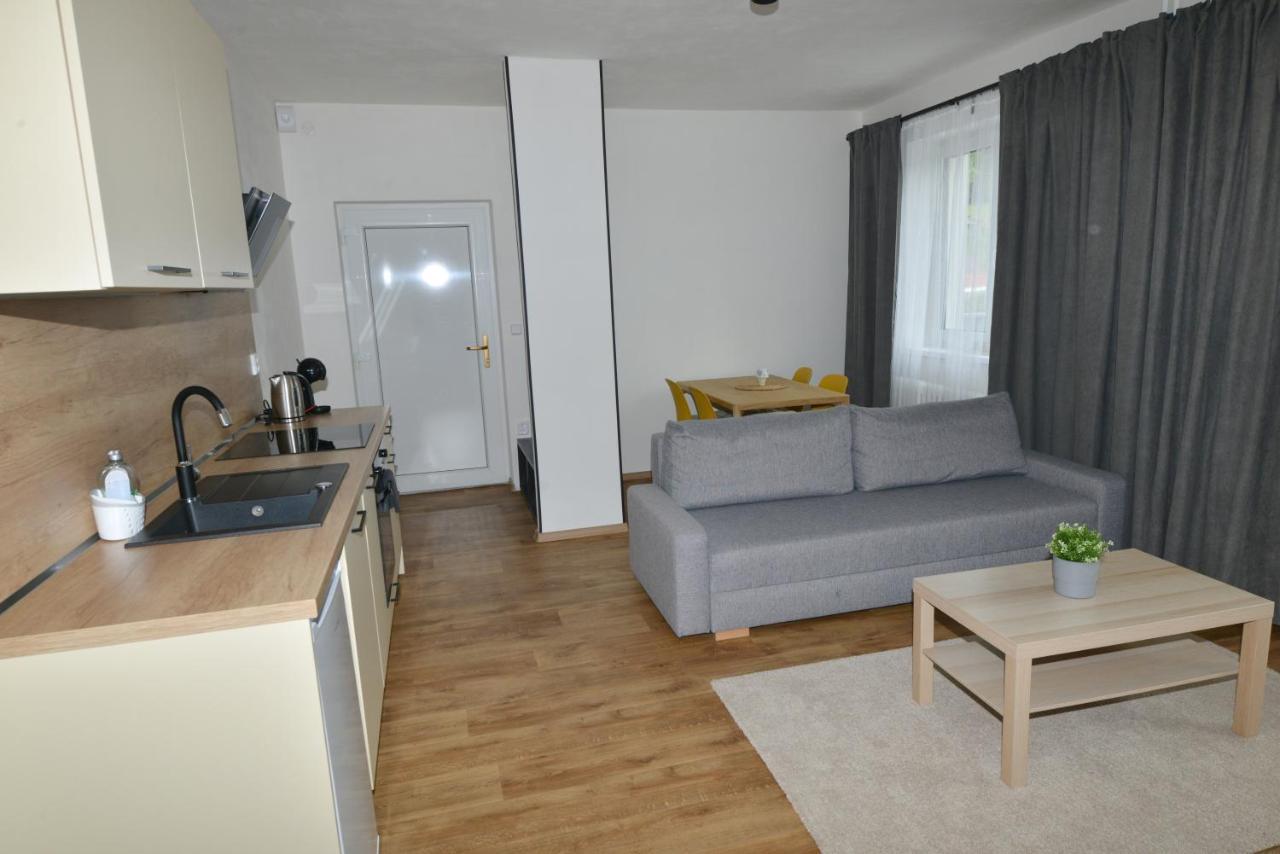 Apartmany U Peslu Zelezna Ruda Exterior photo