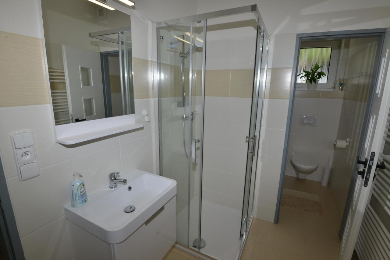 Apartmany U Peslu Zelezna Ruda Exterior photo
