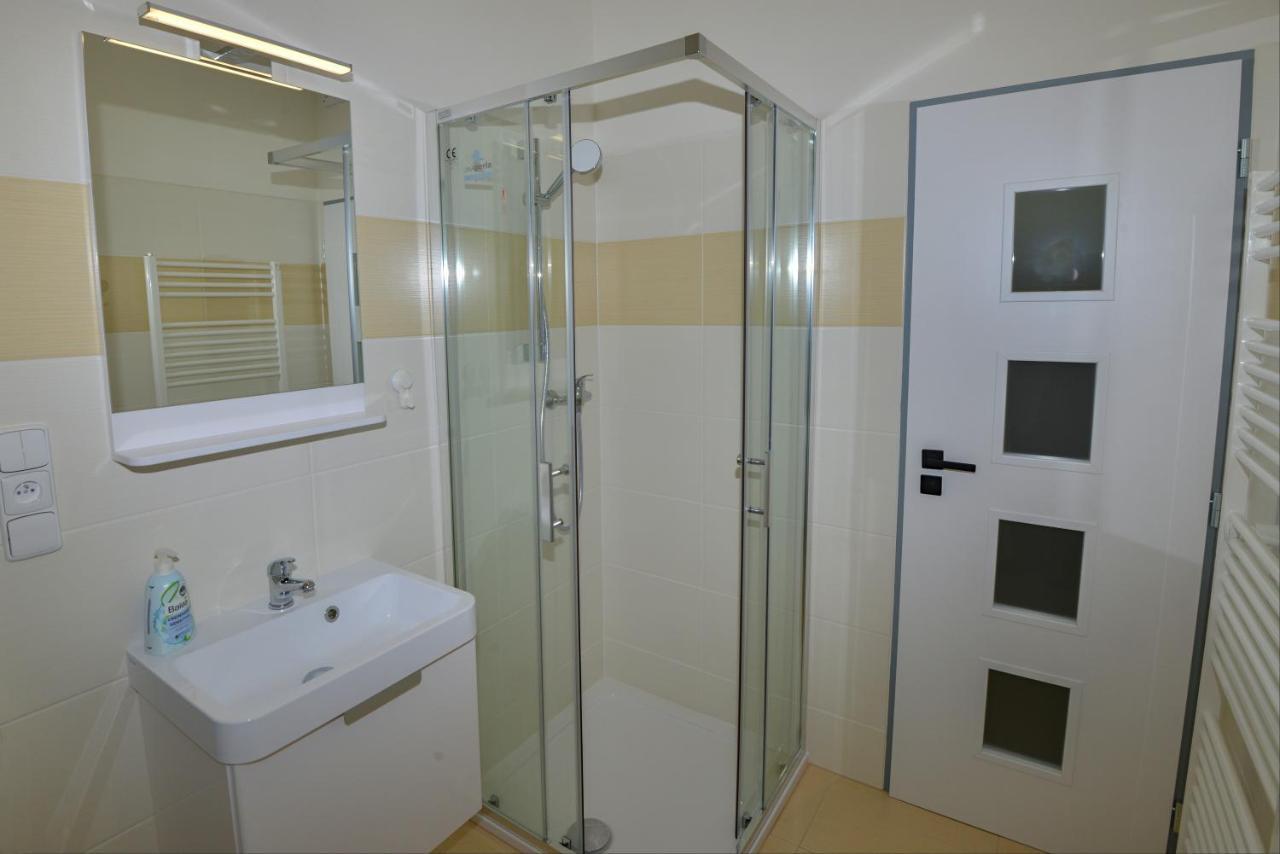 Apartmany U Peslu Zelezna Ruda Exterior photo